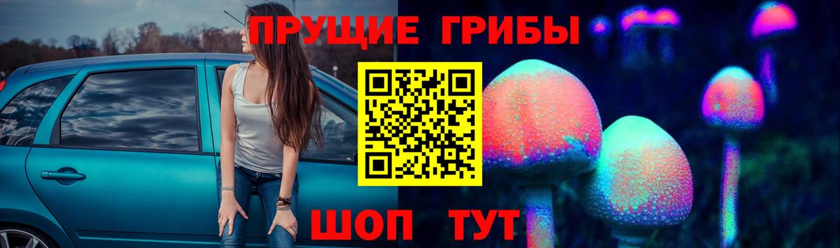 Нововоронеж  где продают наркотики  Вход с VPN  Галлюциногенные грибы Magic Shrooms 