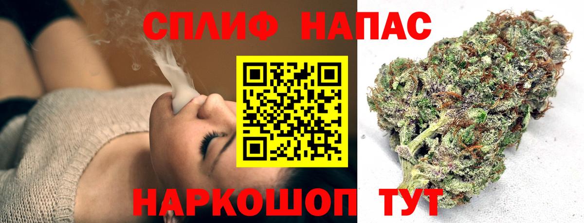 Конопля семена  Каннабис Bruce Banner  Нововоронеж  Вход с VPN 