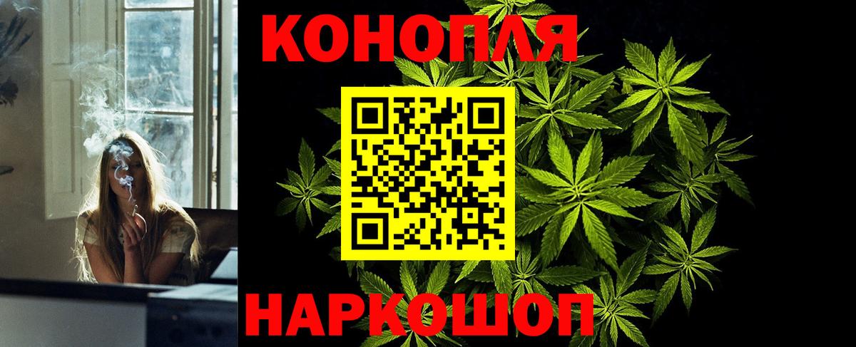 Каннабис сатива Нововоронеж